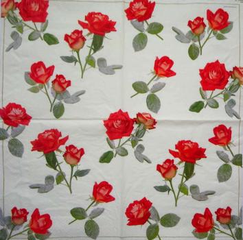 415 Rosen - 3-lagig (creme) - Ambiente