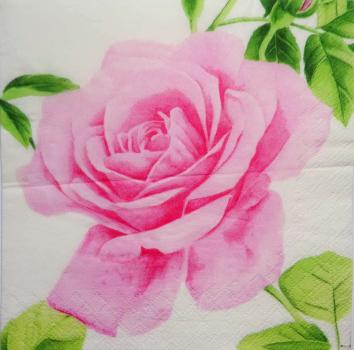 421 Rosen - 3-lagig