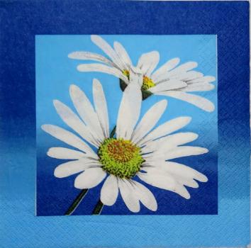 193 Daisies - 3-ply - Home Fashion