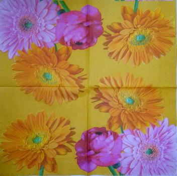 209 Daisies - 3-ply