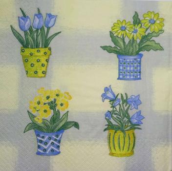 211 Daisies - 3-ply