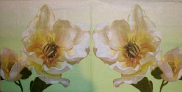 118 Magnolien - 3-lagig (grün) - Susy Card