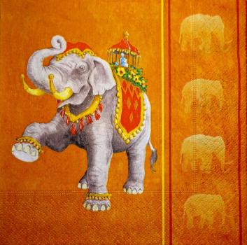 043 Elefant - 3-lagig - Colourful Life