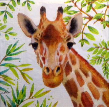 013 Giraffe - 3-ply - ppd - C.Pabst