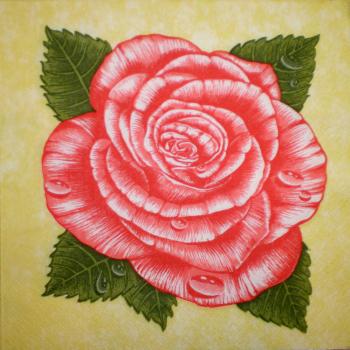006 Rosen - 3-lagig