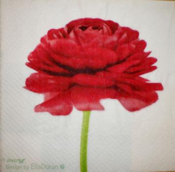 010 Roses - 3-ply - Stewo - Ella Doran