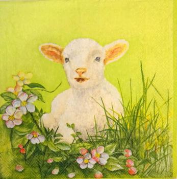 117 Sheep - 3-ply - Ambiente