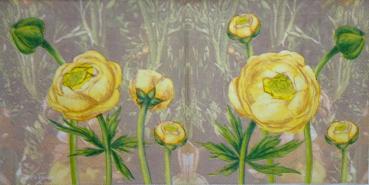 442 Rosen - 3-lagig (gelb) - Molca