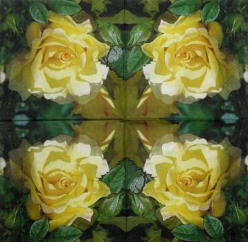 453 Rosen - 3-lagig (0187) - Colourful Life