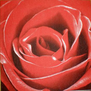 019 Rosen - 3-lagig