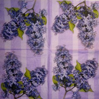 054 Hydrangeas - 3-ply