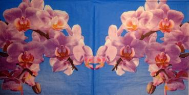 065 Orchids - 3-ply - ppd - H. Bremer