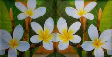 066 Orchideen - 3-lagig - ppd - Shutterstock