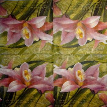 067 Orchideen - 3-lagig - Ashdene