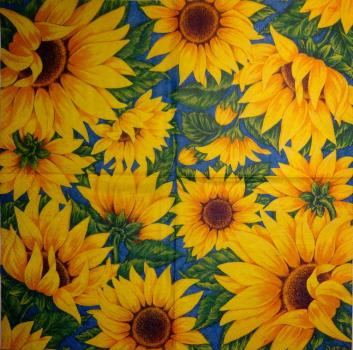 134 Sunflowers - 3-ply (blue) - Paw