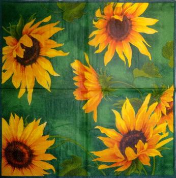 034 Sunflowers - 3 ply (grün) - Ihr