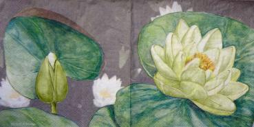 144 Flowers Others - 3 ply (cream) - Molca