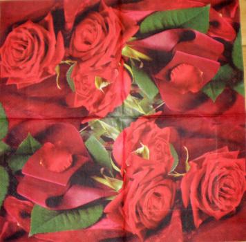 027 Rosen - 3-lagig - Fasana