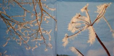 145 Winterlandschaft - 3-lagig - Duni