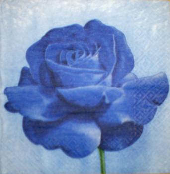 029 Roses - 3-ply (blue)