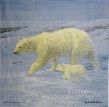 057 Eisbären - 3-ply - Ashdene - James Hautman