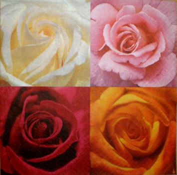 038 Roses - 3-ply - Stewo