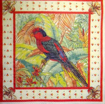 039 Parrot - 3-ply