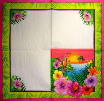 041 Parrot - 2-ply
