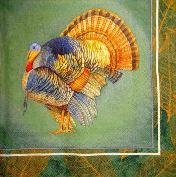 027 Peacock - 3-ply (grün) - Ihr