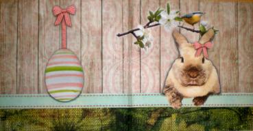 102 Rabbits:  natürlich - 3-ply