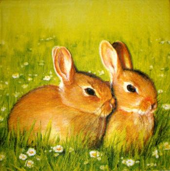107 Rabbits:  natürlich - 3-ply - Paw