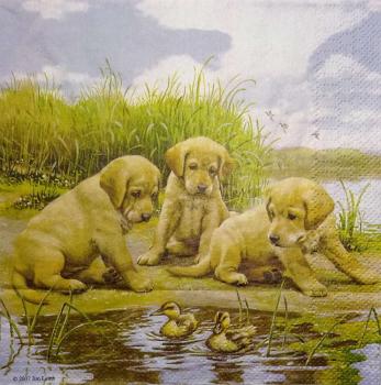 135 Dogs - 3-ply - Ashdene - Jim Lamb 2007