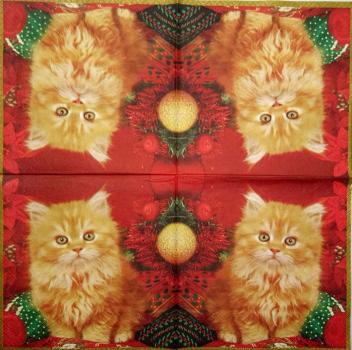 223 Katzen - 3-lagig