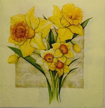 103 Daffodils - 3 ply