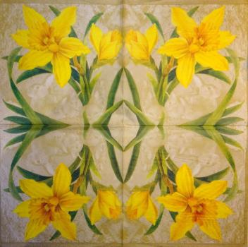 143 Daffodils - 3 ply - 35x35 cm