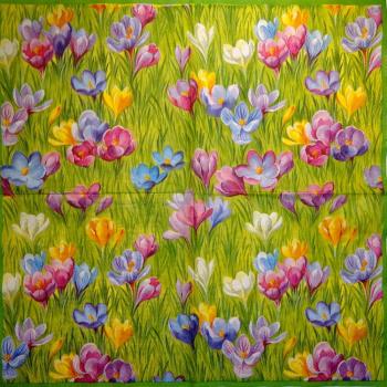 113 Daffodils - 3 ply - Ihr