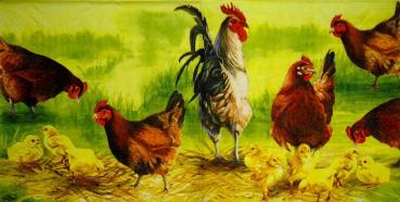 099 Rooster,  Hen - 3 ply - Paw