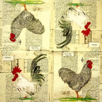 128 Rooster,  Hen - 3 ply (cream) - Caspari  - Isabelle de Borchgrave