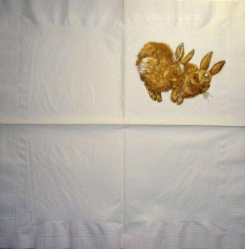 069 Rabbits:  natürlich - 3-ply - WIDA - 35x35cm