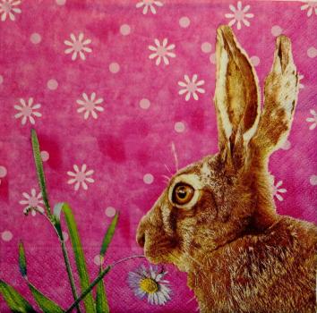 064 Rabbits:  natürlich - 3-ply - Colourful Life