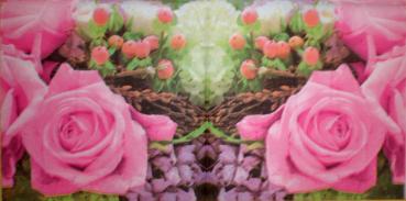 067 Roses