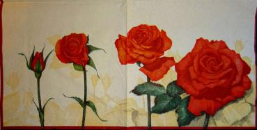 074 Rosen - 3-lagig (creme) - Ambiente