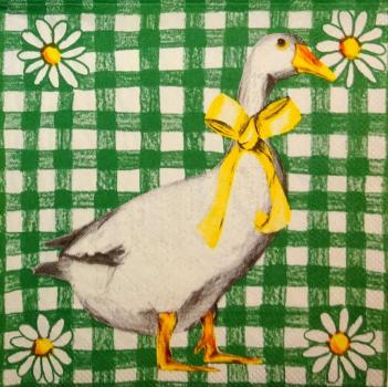 114 Ducks - 3-ply (grün)