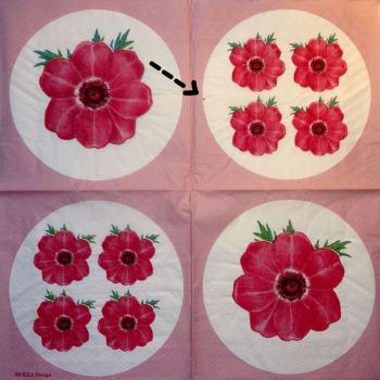 012 Anemones, Poppy (xxx) - 3-ply (pink - Spot !) - MOLCA