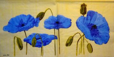 035 Anemones, Poppy - 3-ply - (blue) - Ladies Mol / Molca