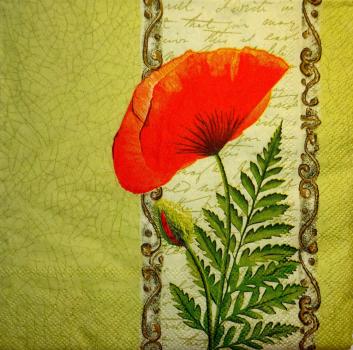 091 Anemonen, Mohn - 3-lagig (grün)