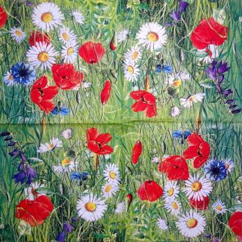 130 Anemonen, Mohn - 3-lagig - Ihr