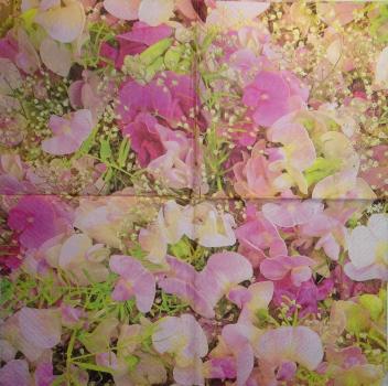 071 Orchids - 3-ply