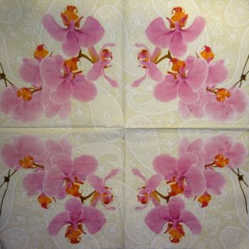 075 Orchids - 3-ply (cream)