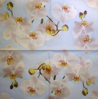 076 Orchids - 3-ply